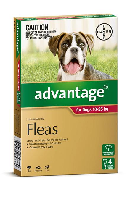 Advantage For Large Dogs (10-25kg) - 4 Pack