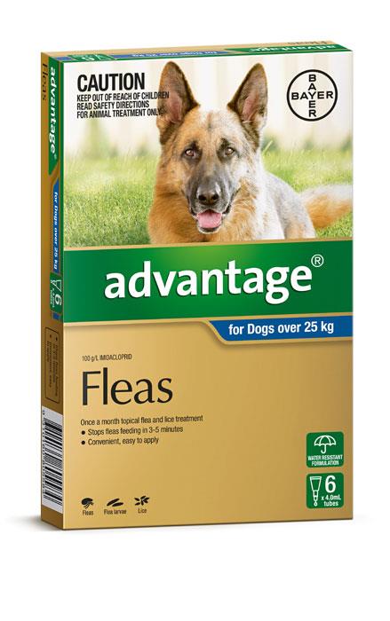 Advantage For Extra Large Dogs (Over 25kg) - 6 Pack