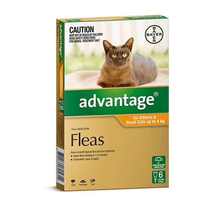 Advantage Cat Up To 4Kg Orange 6 Pack