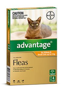 Advantage Kitten and Small Under 4kg Orange 4 pack