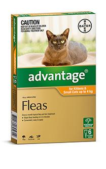 Advantage Kitten and Small Under 4kg Orange 6 pack