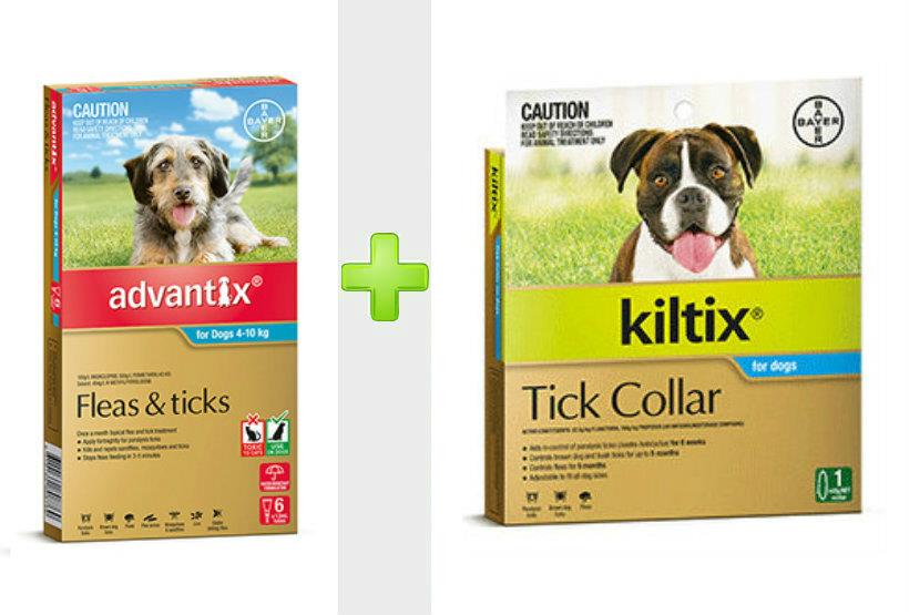 Advantix and Kiltix Bundle for Medium 4-10kg Teal