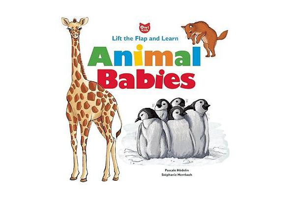 Animal Babies - Lift the Flap and Learn