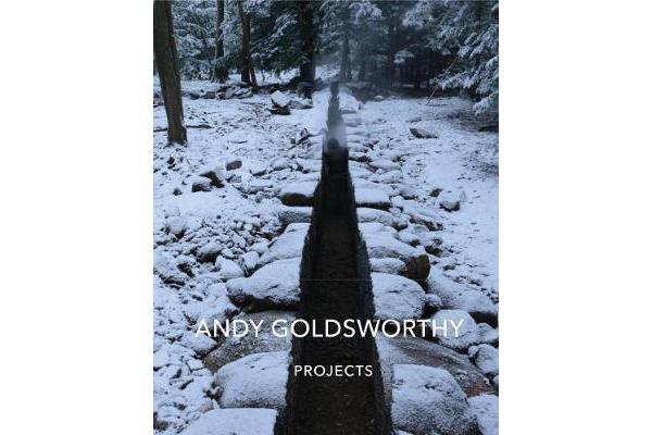 Andy Goldsworthy - Projects