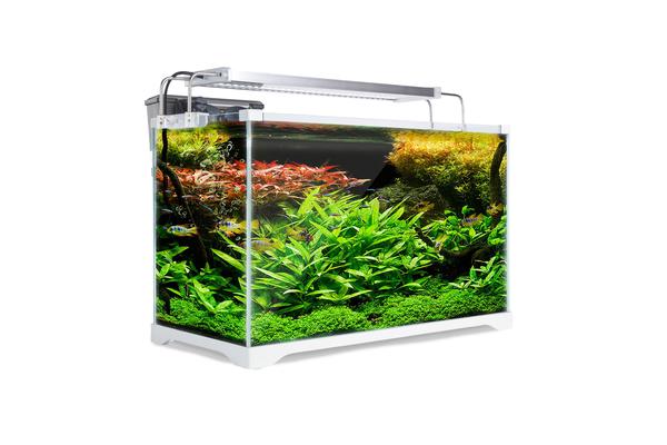 Aquarium Starfire Glass Aquarium Fish Tank 35L