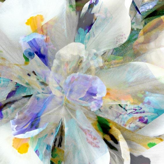 Artwork | Floral Abstract Fine Art Print | Marija Basic