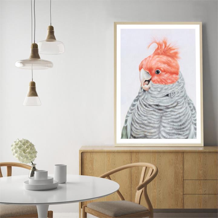 Archie The Gang Gang Cockatoo Art Print | Various Sizes