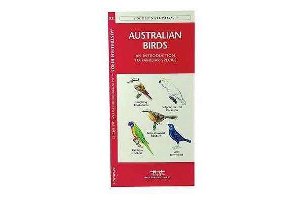 Australian Birds - A Folding Pocket Guide to Familiar Species