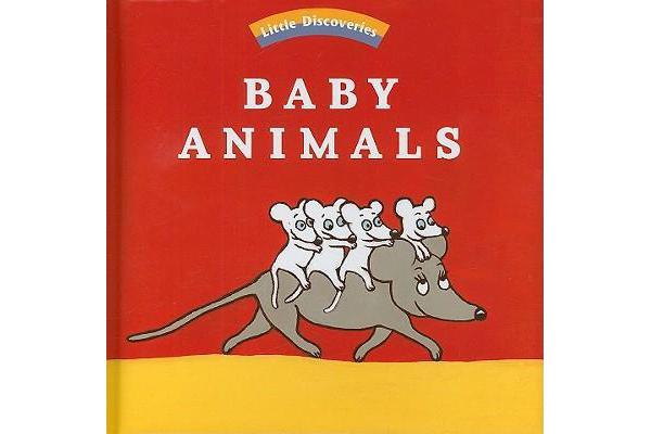 Baby Animals