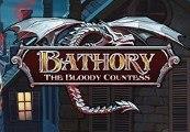 Bathory - The Bloody Countess Steam CD Key