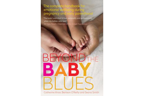 Beyond the Baby Blues 2nd Edition