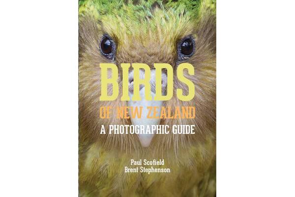 Birds of New Zealand - A Photographic Guide