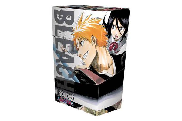 Bleach Box Set 2 - Volumes 22-48 with Premium