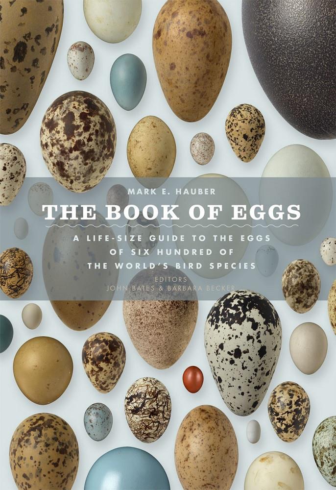 Book of Eggs : A Lifesize Guide to the Eggs of Six Hundred of the