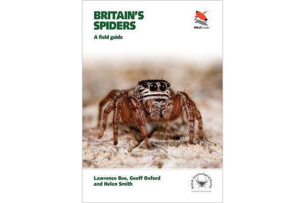 Britain's Spiders - A Field Guide