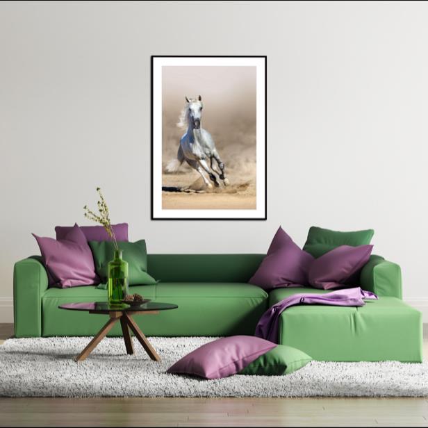 Callipso | Grey Arabian | Framed Photographic Print