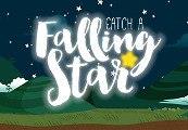 Catch a Falling Star Steam CD Key