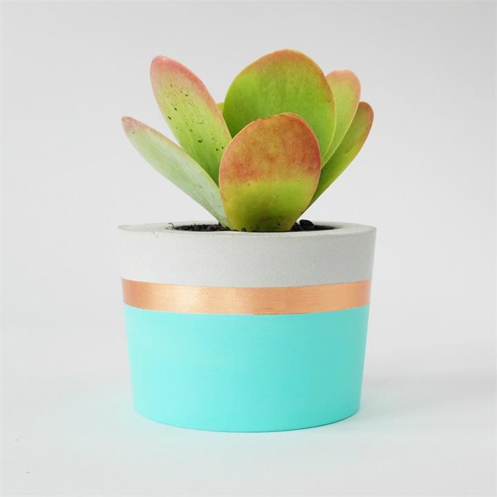 Concrete Planter | Spearmint & Copper