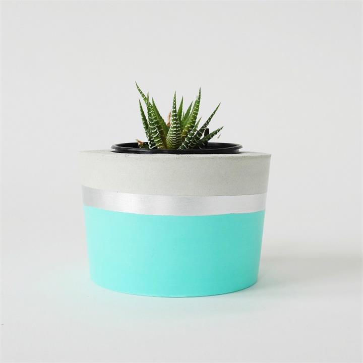 Concrete Planter | Spearmint & Silver