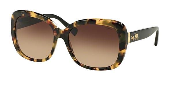 Coach Sunglasses HC8158F Asian Fit 532413