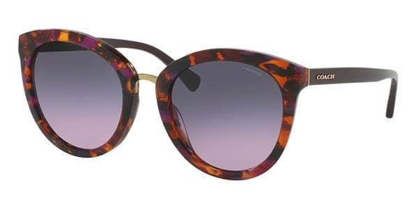 Coach Sunglasses HC8199D Asian Fit 533990