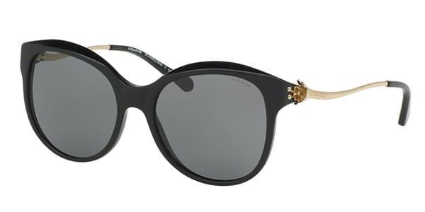 Coach Sunglasses HC8189F Asian Fit 530887