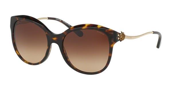 Coach Sunglasses HC8189F Asian Fit 541713