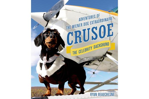 Crusoe, the Celebrity Dachshund