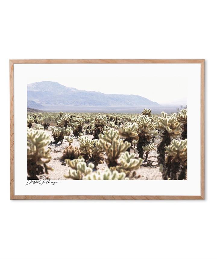 Desert Plains Art Print Small