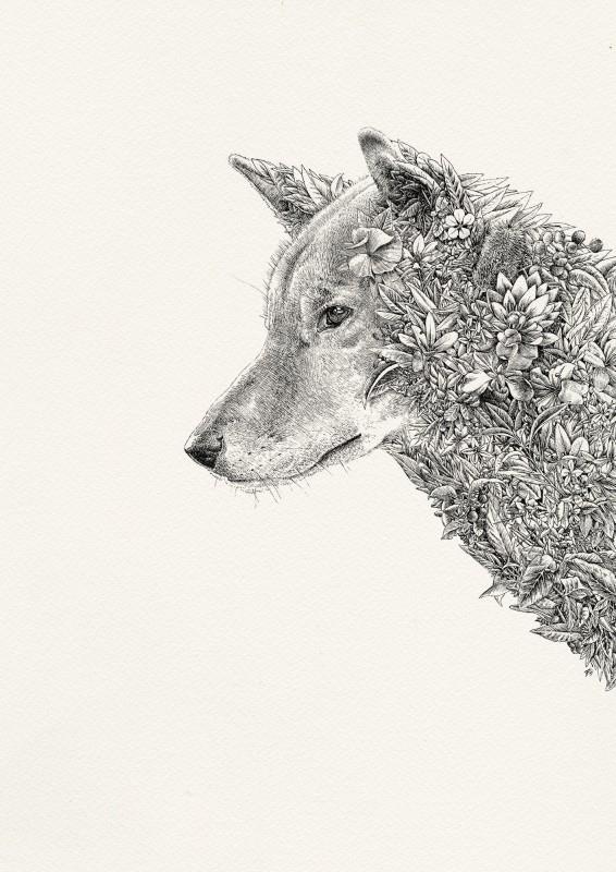 Dingo I Limited Edition GiclÃ©e Print