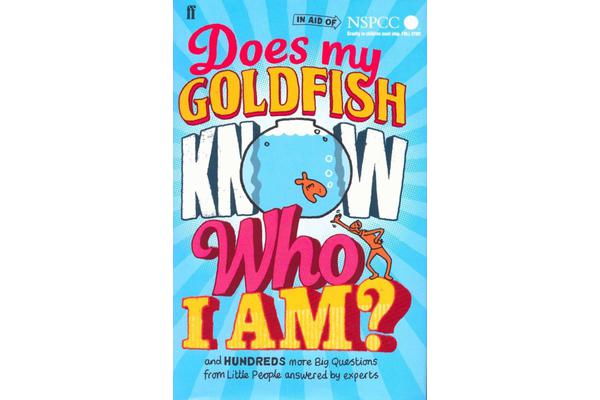 Does My Goldfish Know Who I Am? - and hundreds more Big Questions from Little People answered by experts