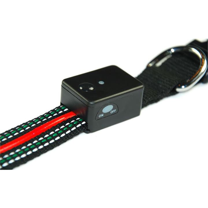 Dog Collar with LED Light Black S