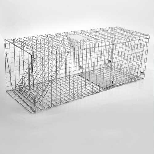 Extra Large Humane Animal Trap Galvanised Wire Live Trap Possum Fox Rabbit Cat 150 x 50cm