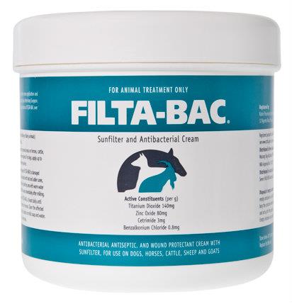 Filta-Bac Sunfilter And Antibacterial Cream 500g