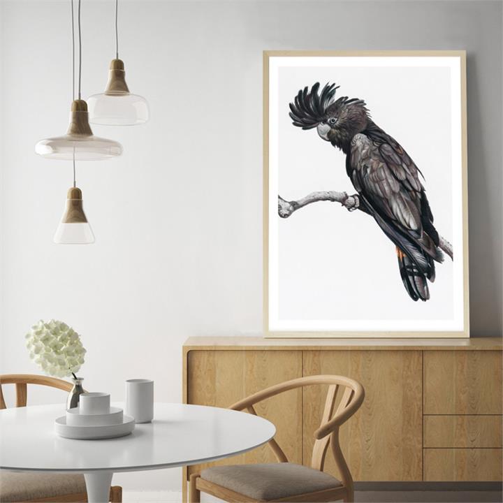 George The Black Cockatoo Art Print | Various Sizes