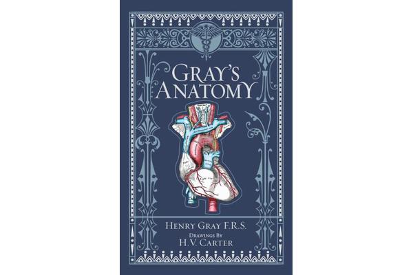 Gray's Anatomy (Barnes & Noble Omnibus Leatherbound Classics)