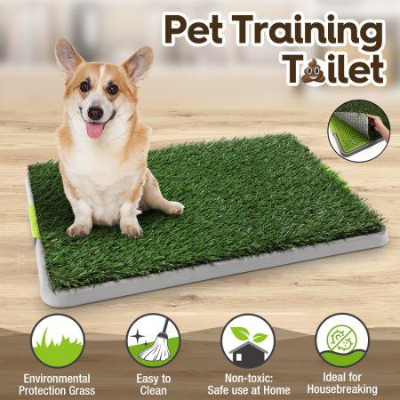 Grass Pet Training Toilet