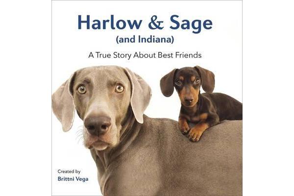 Harlow & Sage (And Indiana) - A True Story About Best Friends