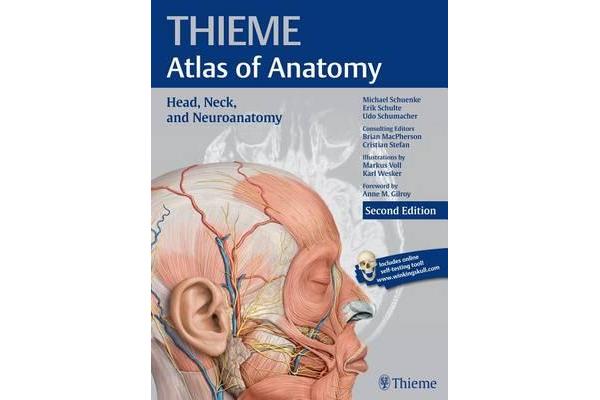 Head, Neck, and Neuroanatomy (Thieme Atlas of Anatomy) - Head, Neck, and Neuroanatomy (THIEME Atlas of Anatomy) Volume 3