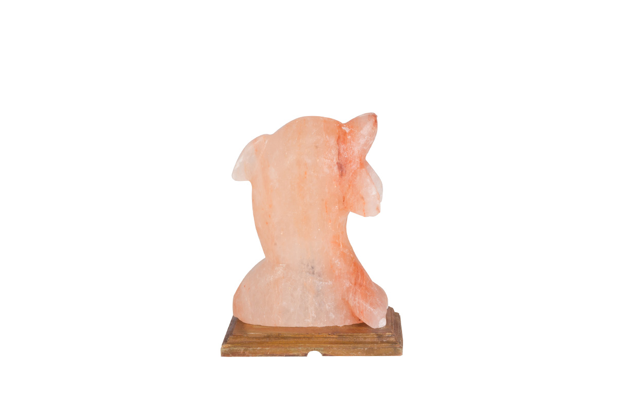 Himalayan Salt Lamp - Dolphin (3-4kg)