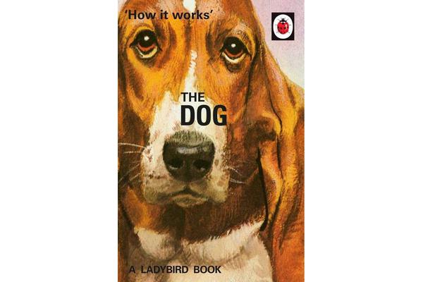 How it Works - The Dog