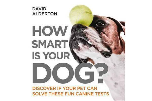 How Smart Is Your Dog?