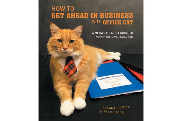 How to Get Ahead in Business with Office Cat