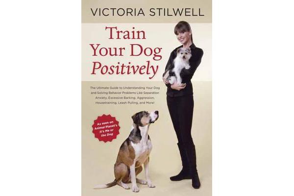 How to Train Your Dog Positively