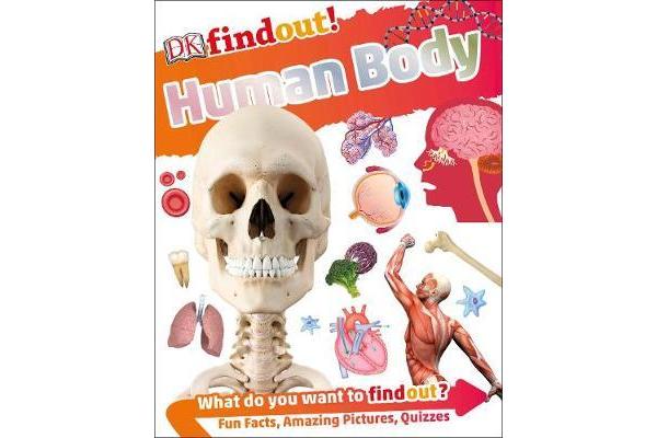 Human Body