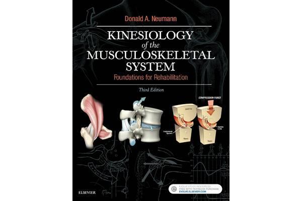 Kinesiology of the Musculoskeletal System - Foundations for Rehabilitation