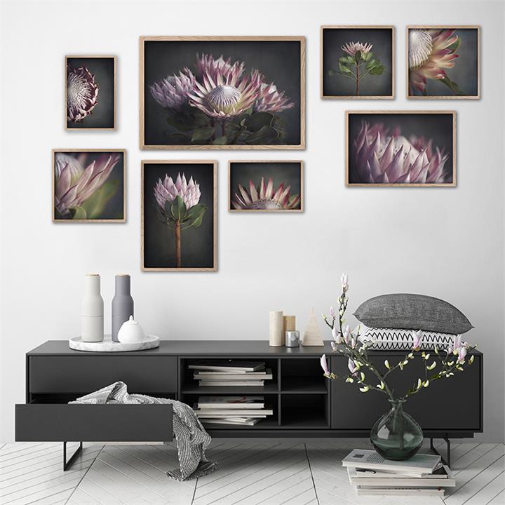 King on Gray Gallery Wall | Set of 8 Unframed Prints | Fine Art Photography