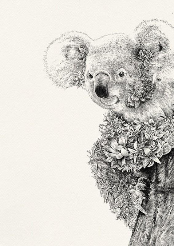 Koala I Limited Edition Giclee Print