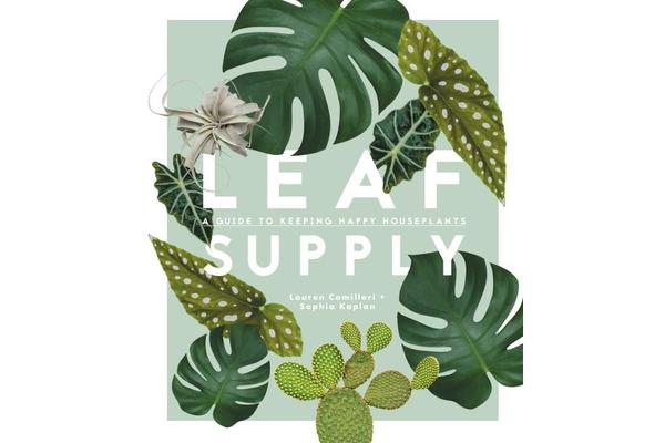 Leaf Supply - A guide to keeping happy house plants