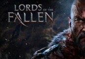 Lords of the Fallen Day One Edition EU Steam CD Key